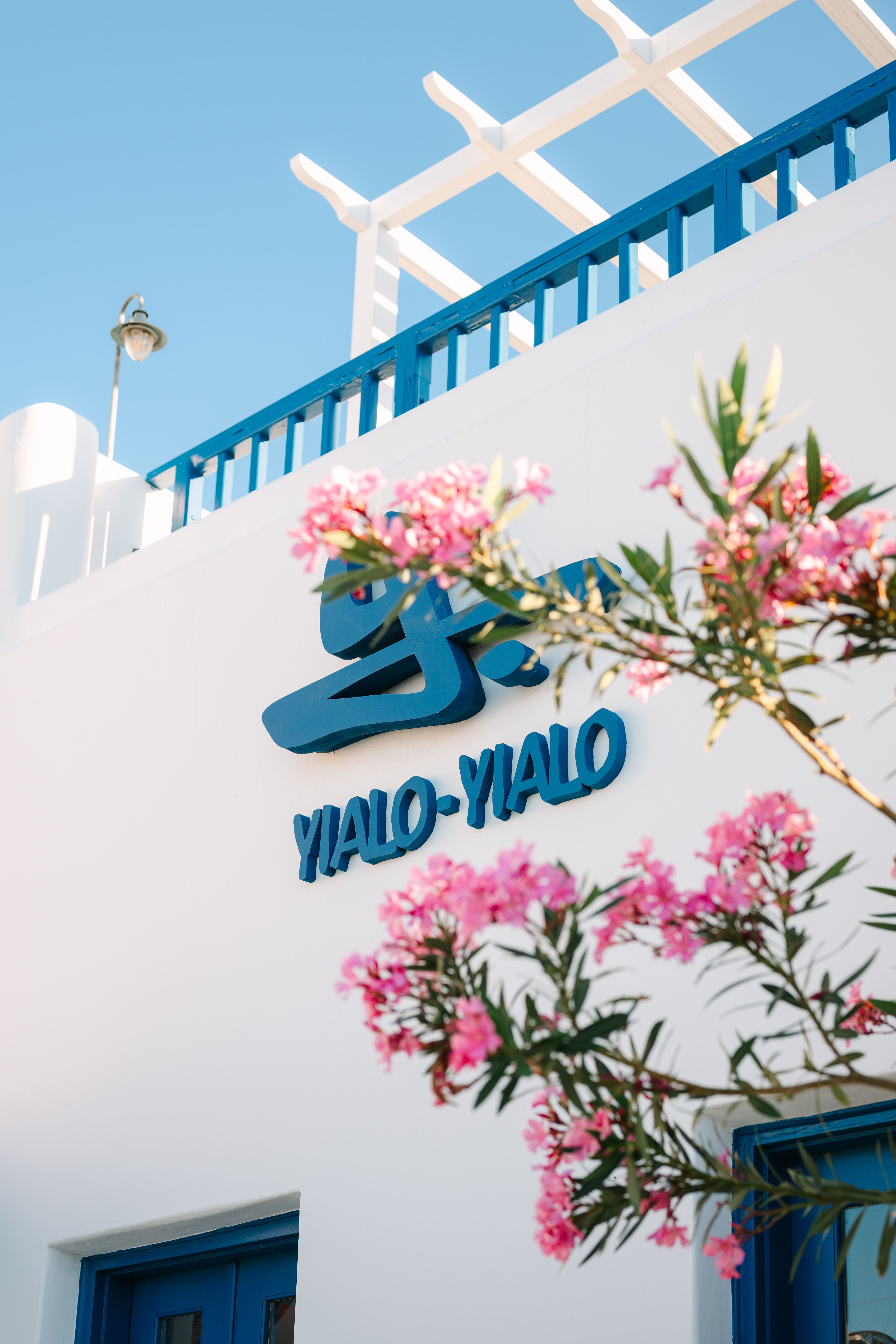 yialo yialo 18